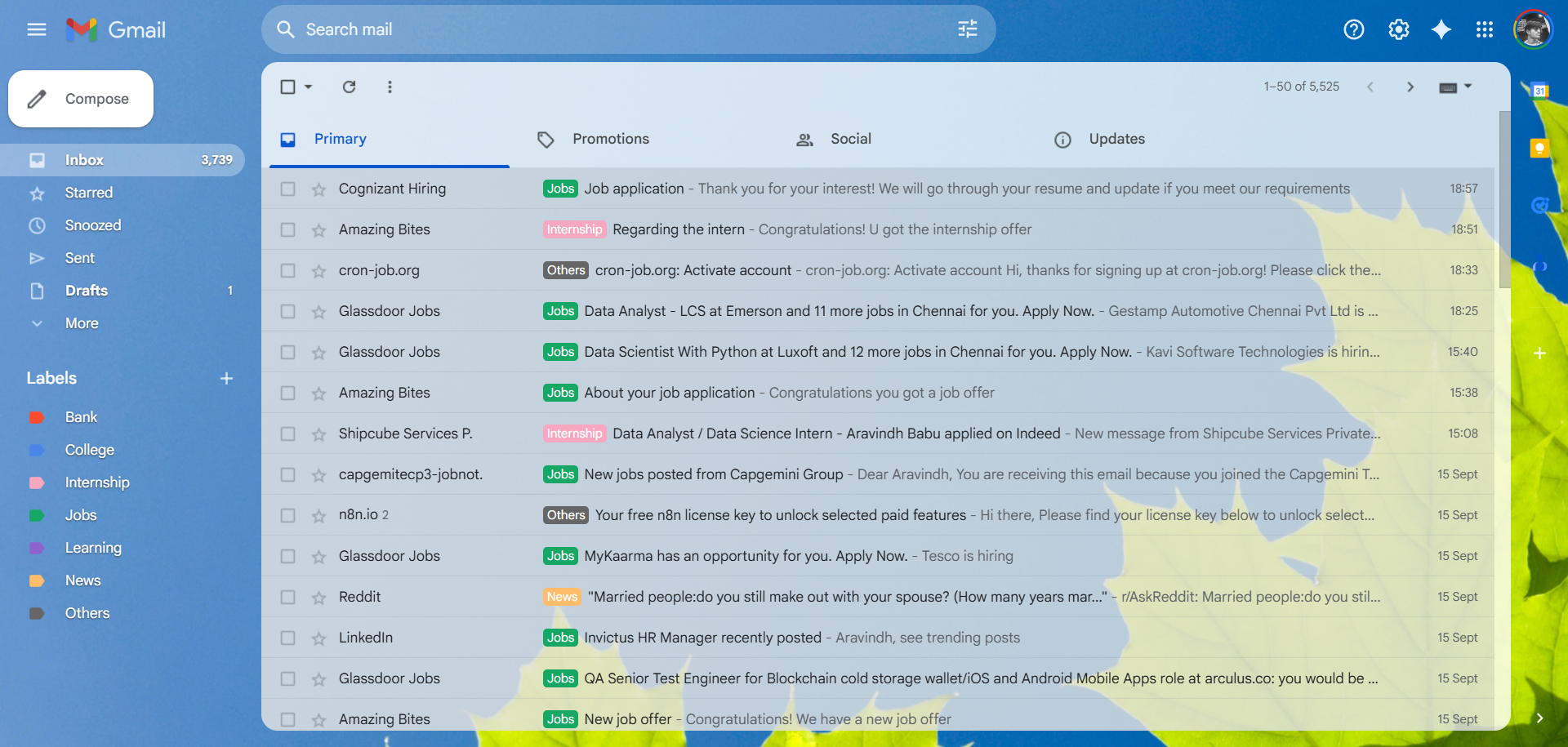 Clean and organized Gmail inbox with labels